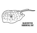 Coloring book, Bluespotted ribbontail ray Royalty Free Stock Photo