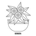 Coloring book. Cartoon collection of Houseplants, Gerbera