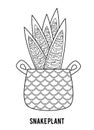 Coloring book. Cartoon collection of Houseplants, Snake plant