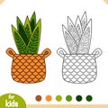 Coloring book. Cartoon collection of Houseplants, Snake plant