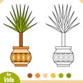 Coloring book. Cartoon collection of Houseplants, Yucca