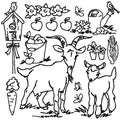 Coloring book, Cartoon farm animals Royalty Free Stock Photo