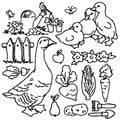 Coloring book, Cartoon farm goose and animals Royalty Free Stock Photo