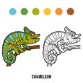 Coloring book, Chameleon