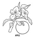 Coloring book, Apple tree Royalty Free Stock Photo