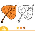 Coloring book, Black poplar leaf