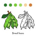 Coloring book, Broad beans