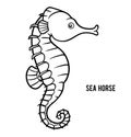 Coloring book, Sea horse