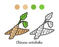 Coloring book for kids, Chinese artichoke