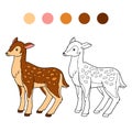 Coloring book for children (deer, doe)