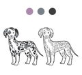 Coloring book, Dog breeds: Dalmatian