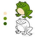 Coloring book for children (frog)