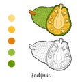 Coloring book for children: fruits and vegetables (jackfruit)