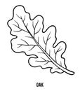 Coloring book, Oak leaf Royalty Free Stock Photo