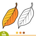 Coloring book, Pear tree leaf Royalty Free Stock Photo
