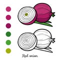 Coloring book, Red onion