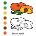 Coloring book, Saturn peach