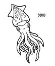 Coloring book, Squid Royalty Free Stock Photo