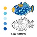 Coloring book, Clown triggerfish