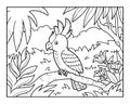 Coloring book, Cockatoo parrot in the rainforest