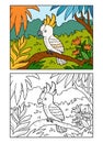 Coloring book, Cockatoo parrot in the rainforest Royalty Free Stock Photo