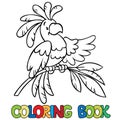 Coloring book or coloring picture of funny parrot Royalty Free Stock Photo