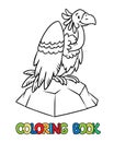 Funny vulture on the rock. Kids coloring book