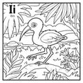 Coloring book, colorless alphabet. Letter I, ibis