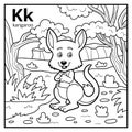 Coloring book, colorless alphabet. Letter K, kangaroo