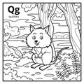 Coloring book, colorless alphabet. Letter Q, quokka