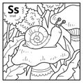 Coloring book, colorless alphabet. Letter S, snail