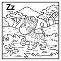 Coloring book, colorless alphabet. Letter Z, zebra