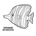 Coloring book, Copperband butterflyfish