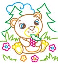 Coloring Book Of Bear Eat Raspberries