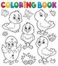 Coloring book cute chickens topic set 1