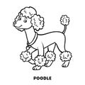 Coloring book, Dog breeds: Poodle