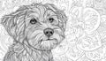 Coloring book dog theme Royalty Free Stock Photo