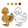 Coloring book (duck)