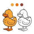 Coloring book (duck)