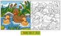 Coloring book (duck) Royalty Free Stock Photo