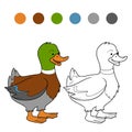 Coloring book (duck)