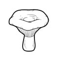 Coloring book. Edible mushrooms, milk mushroom