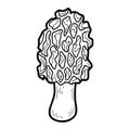 Coloring book. Edible mushrooms, morel