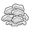 Coloring book. Edible mushrooms, oyster