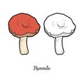 Coloring book. Edible mushrooms, russule Royalty Free Stock Photo