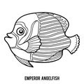 Coloring book, Emperor angelfish