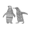 Coloring book of family of stylized cute penguin birds on an isolated white background. Royalty Free Stock Photo