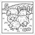 Coloring book, Five sheep