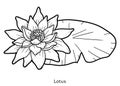 Coloring book, flower Lotus