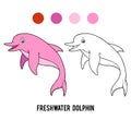 Coloring book, Freshwater Amazon dolphin Royalty Free Stock Photo